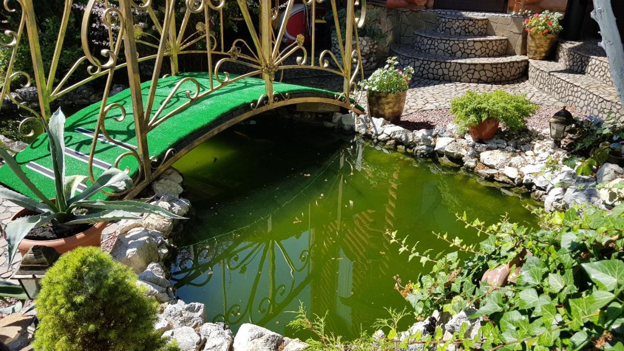 Luxury Villa With Pool And Sauna 切尔诺夫策 外观 照片